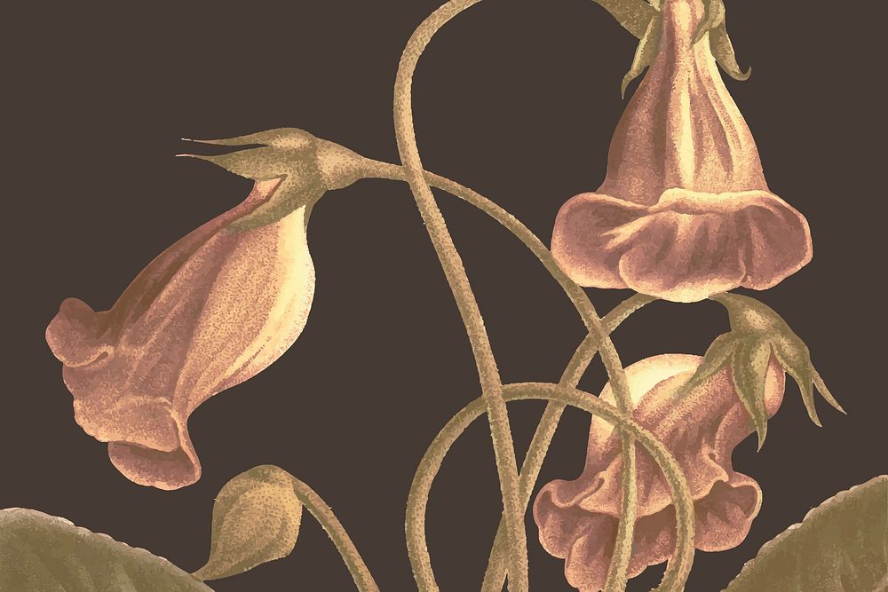 Vintage spring flower background vector illustration, remixed from public domain artworks