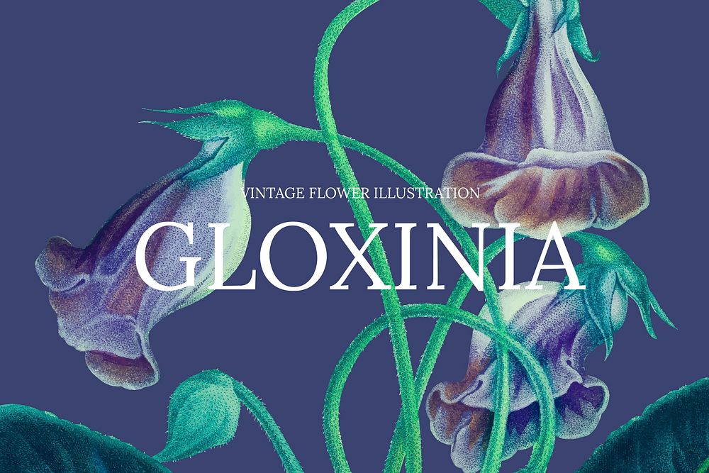 Floral web banner template vector with gloxinia flower background, remixed from public domain artworks