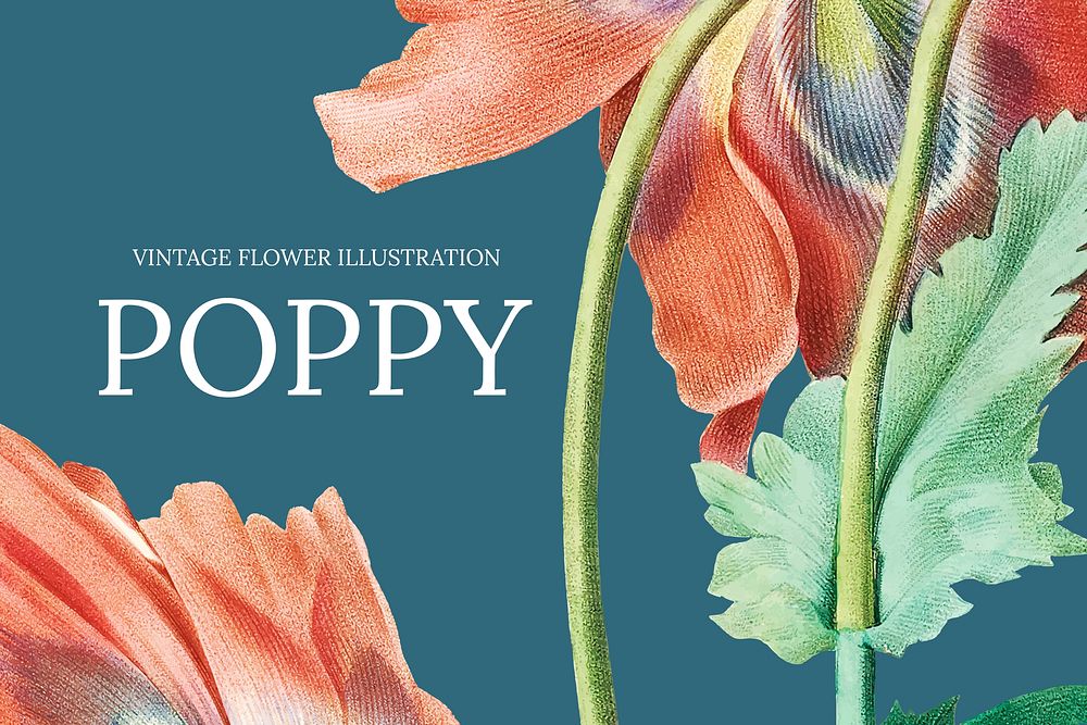 Floral web banner template vector with poppy background, remixed from public domain artworks