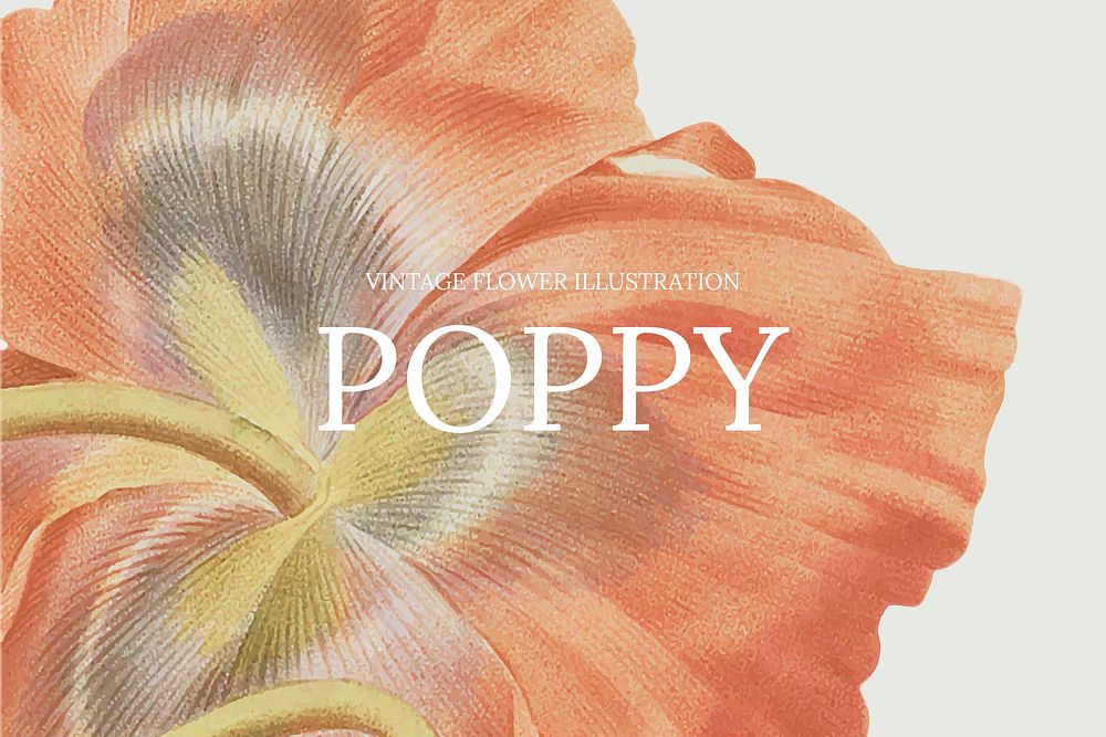 Hand drawn flower template vector with poppy background, remixed from public domain artworks