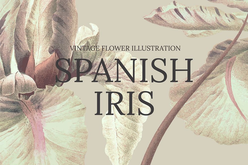 Hand drawn flower template vector with spanish iris background, remixed from public domain artworks