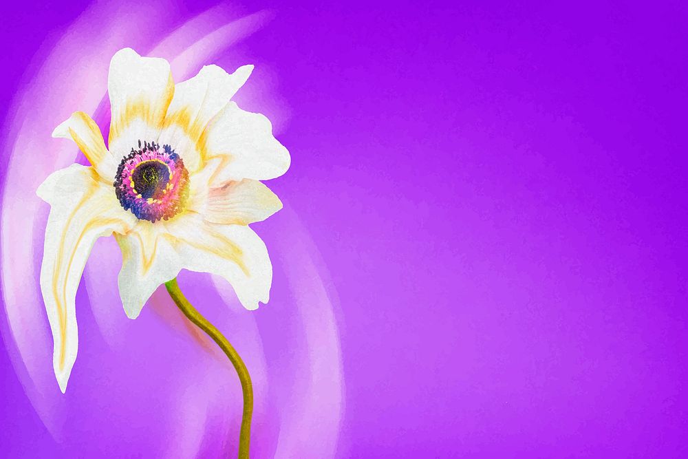 Flower background vector, purple anemone psychedelic art