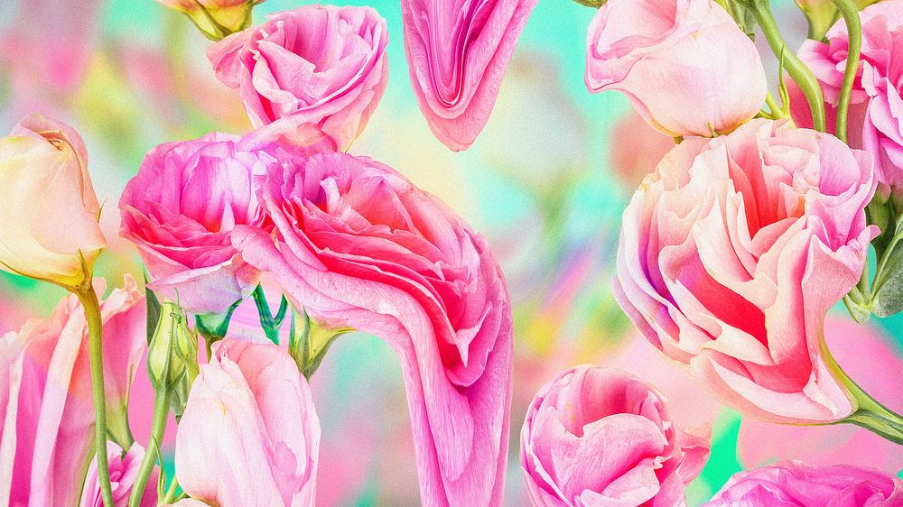 Floral background wallpaper, pink rose psychedelic art