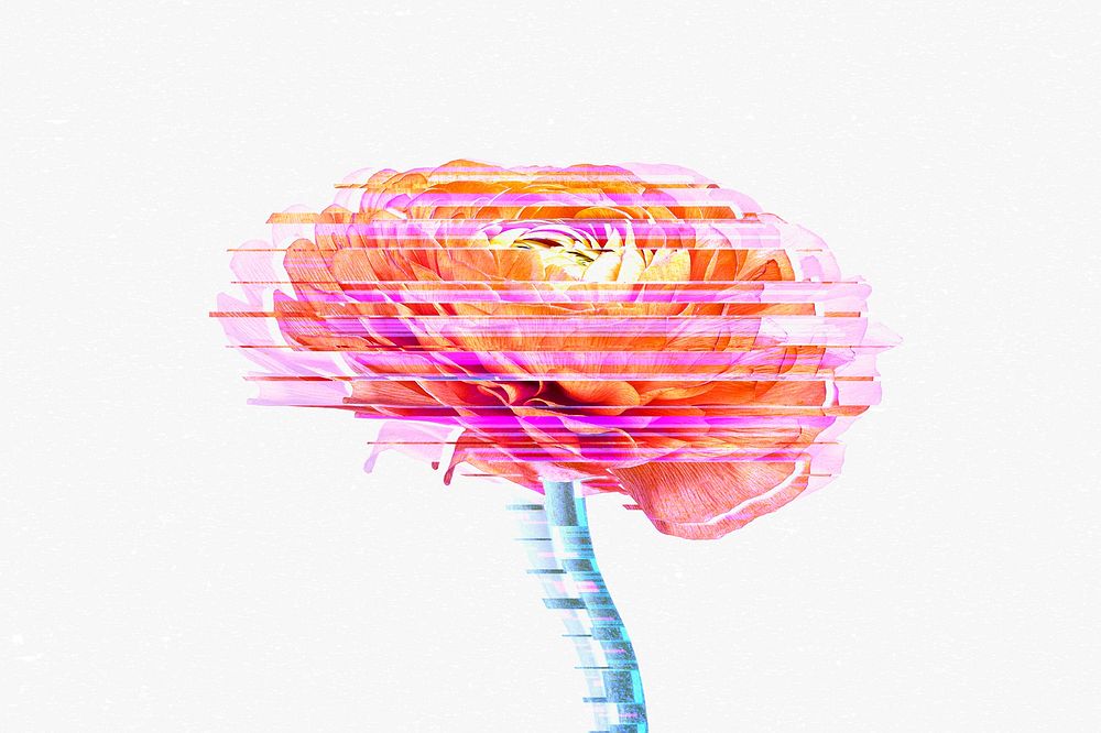 Glitch flower abstract desktop wallpaper background
