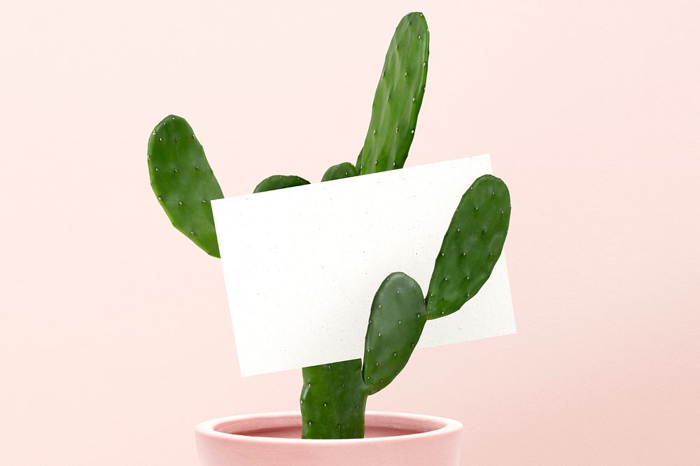Blank business card on a cactus 