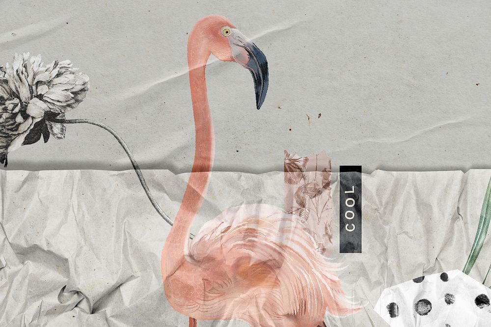 Hand drawn flamingo with wrinkled paper texture remixed media