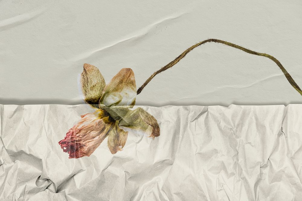 Hand drawn flower with wrinkled paper texture remixed media