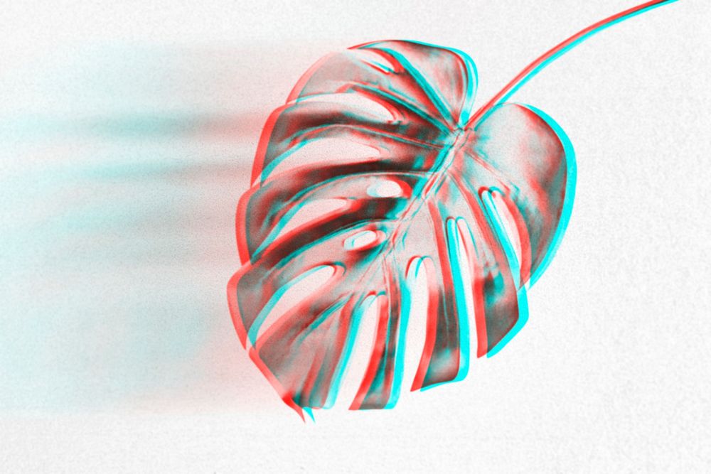 Monstera leaf with anaglyph effect