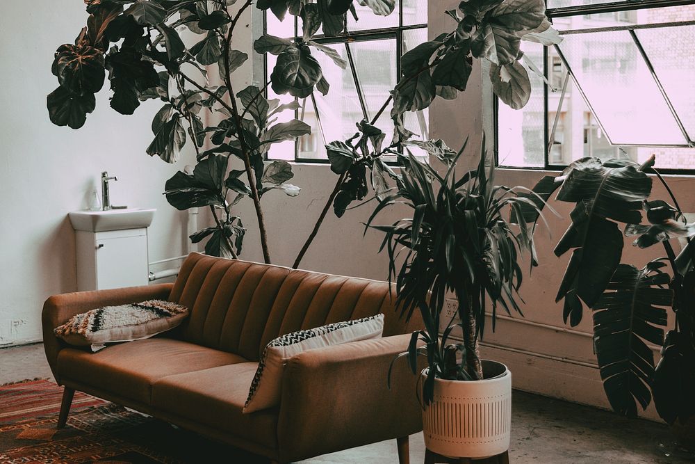 Aesthetic living room with houseplant decorations, home interior