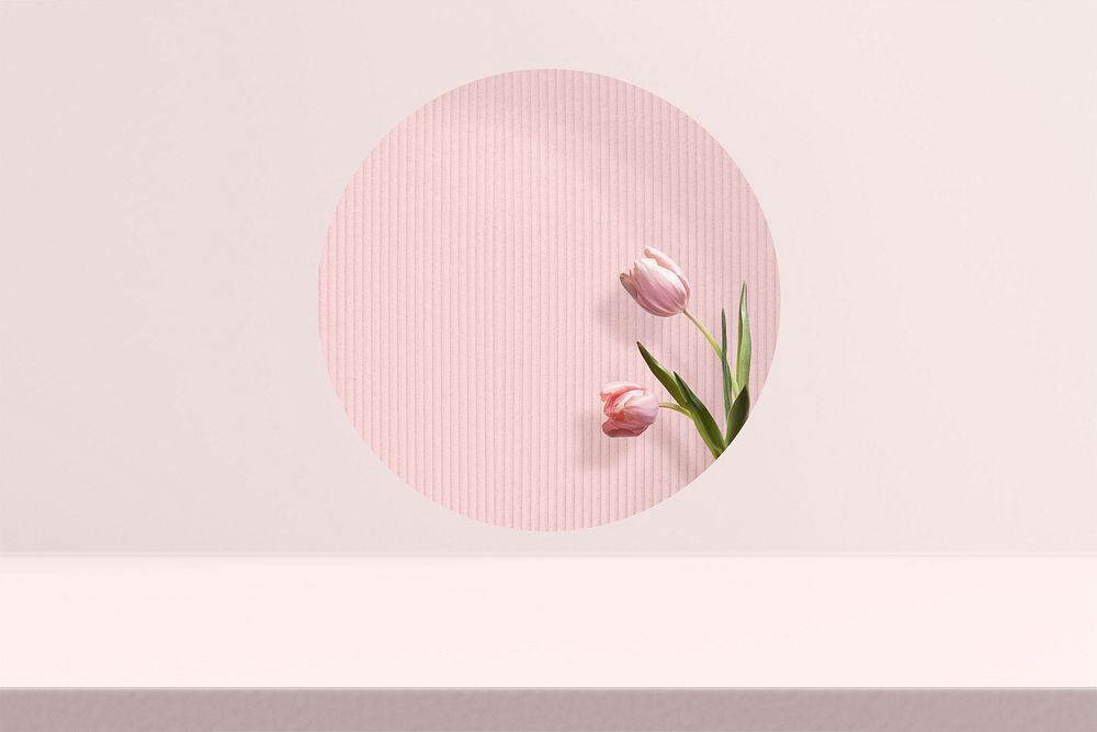 Flower product backdrop with tulip in pink