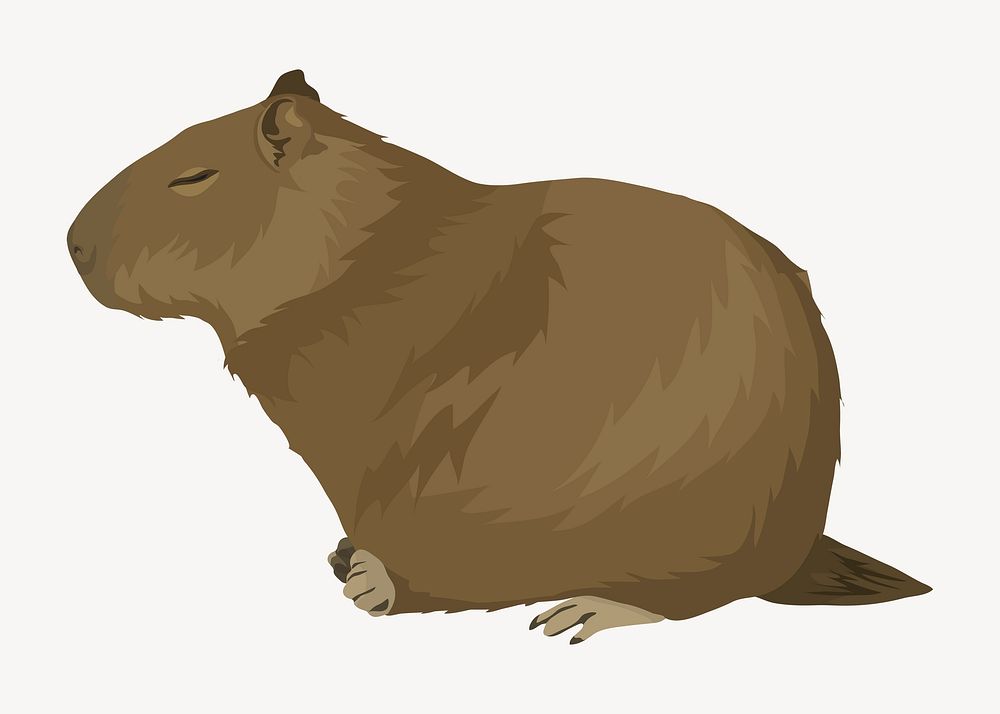 Beaver illustration, sleeping animal illustration vector
