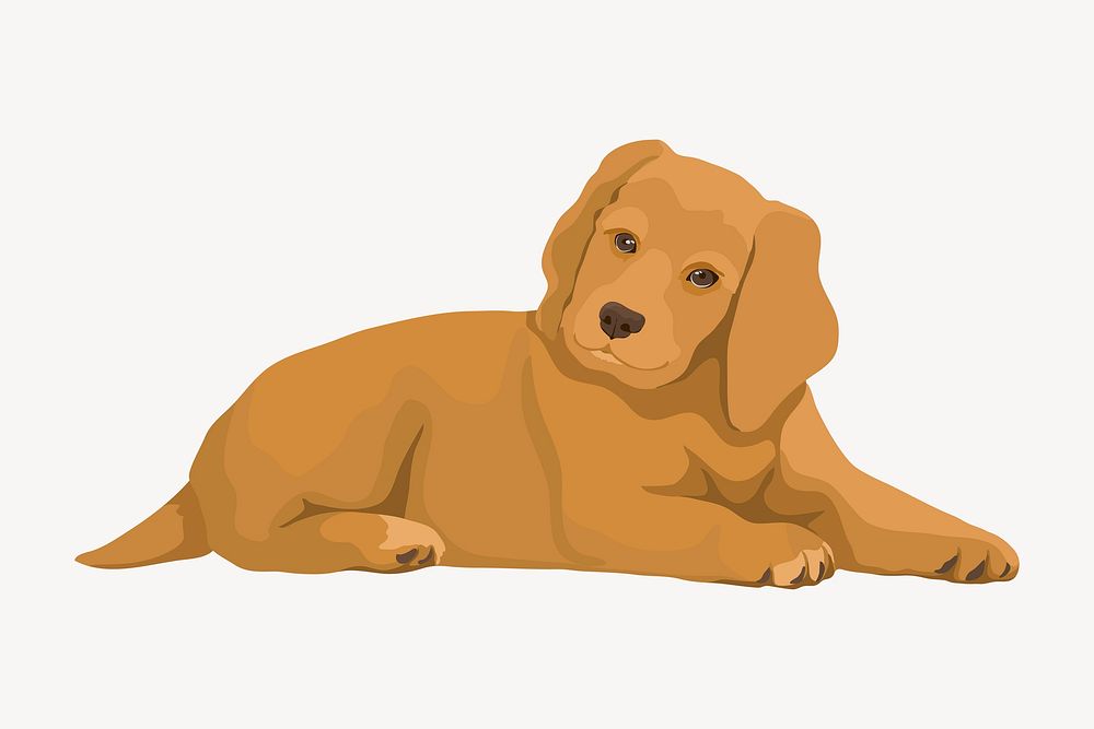 Golden retriever puppy, baby dog illustration vector