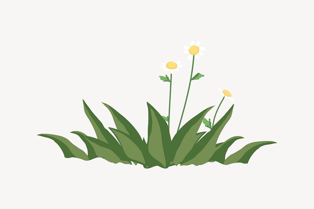 Nature element illustration, flower in green grass vector