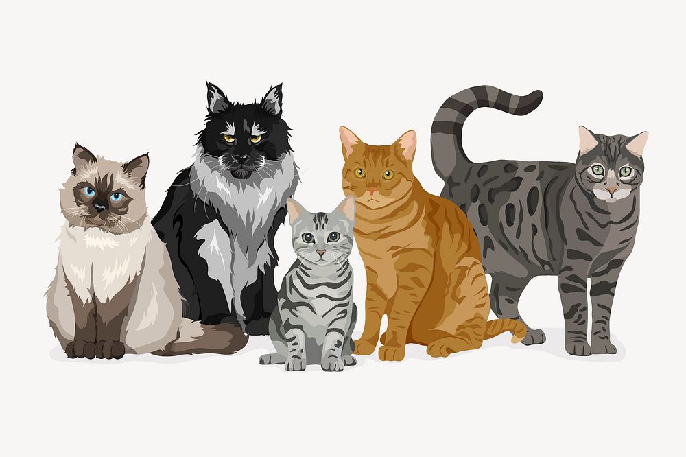 Cats and kitten, different breeds vector