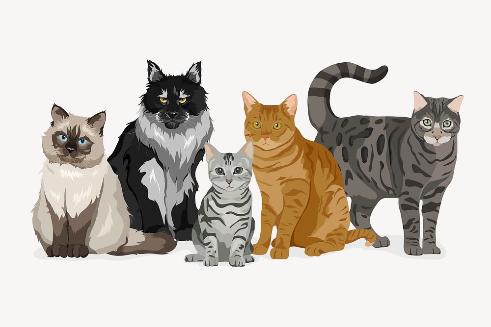 Cats and kitten, different breeds psd
