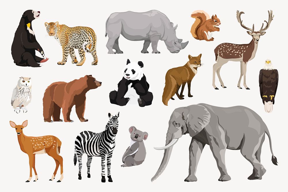 Wild animals, zoo illustration set vector