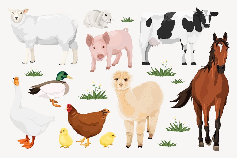 Farm animals design element set vector