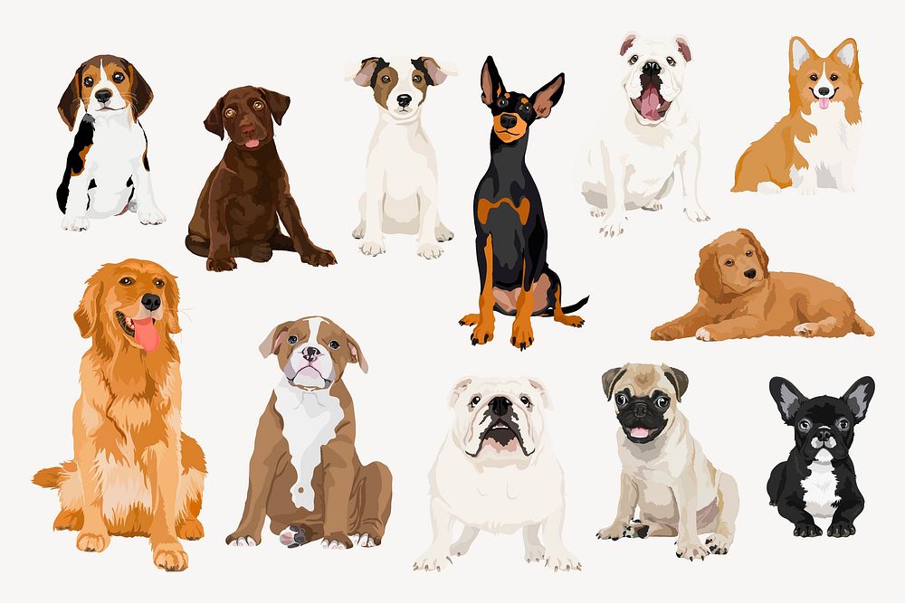 Pet dogs illustration set, different breeds vector