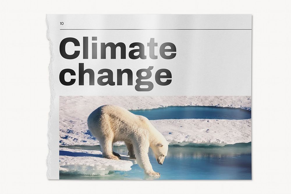 Climate change newspaper, polar bear walking on ice image