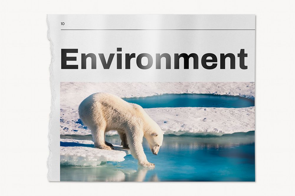 Environment newspaper, polar bear walking on ice image