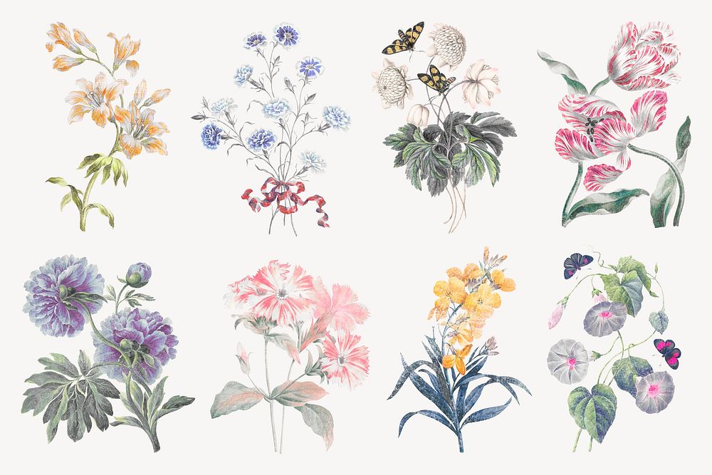 Flower illustration, vintage graphic psd set