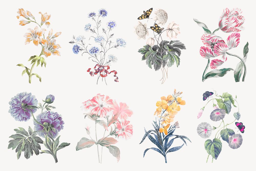 Flower illustration, vintage graphic vector set