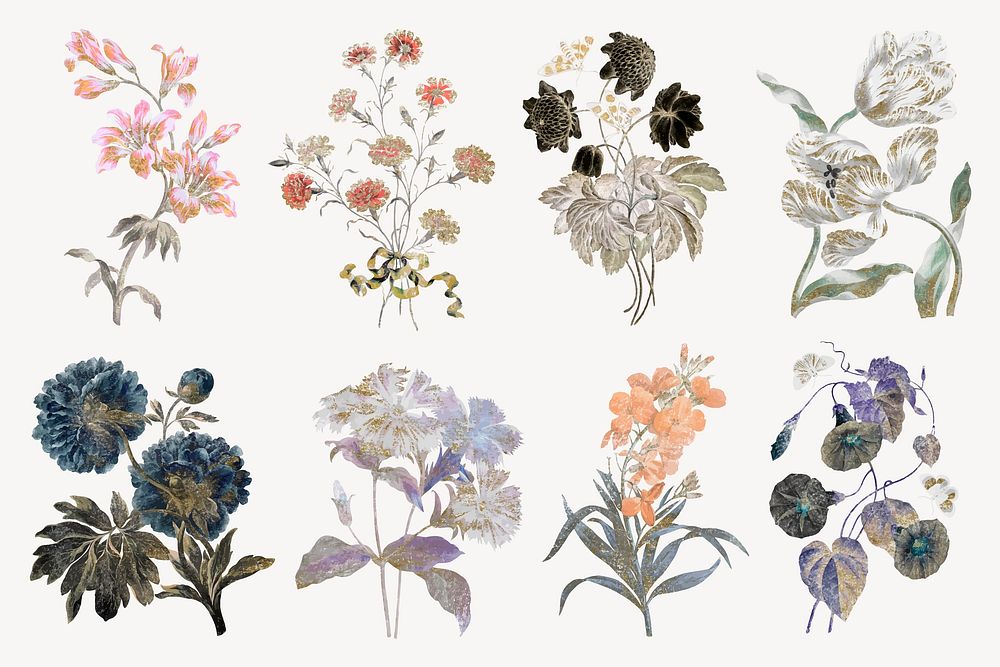 Flower illustration, vintage graphic vector set
