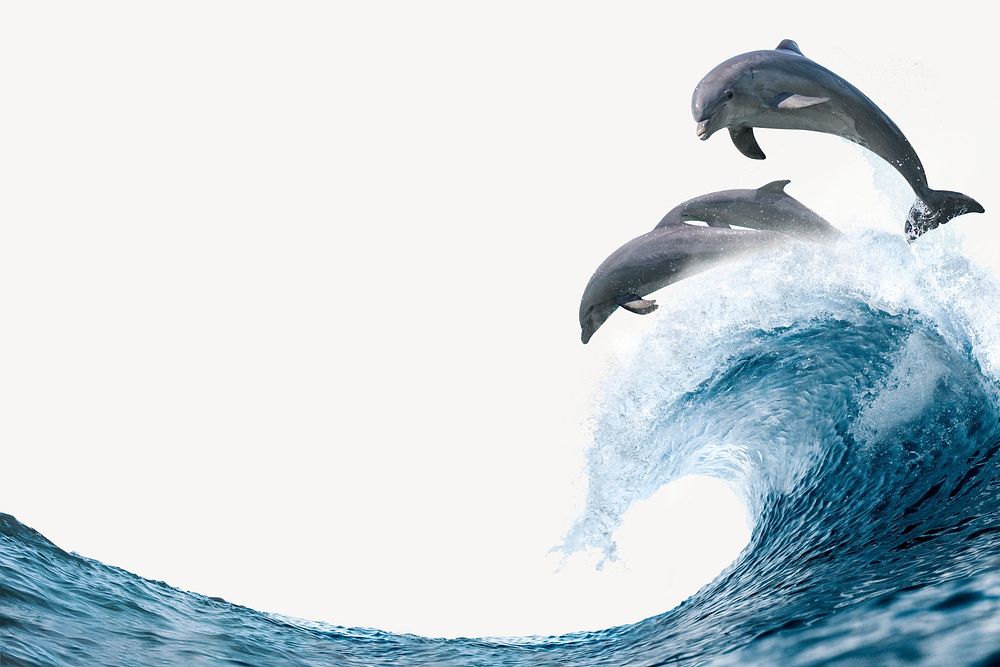 Jumping dolphins background, Ocean wave aesthetic psd
