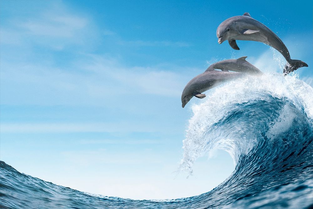 Jumping dolphins background, Ocean wave aesthetic psd