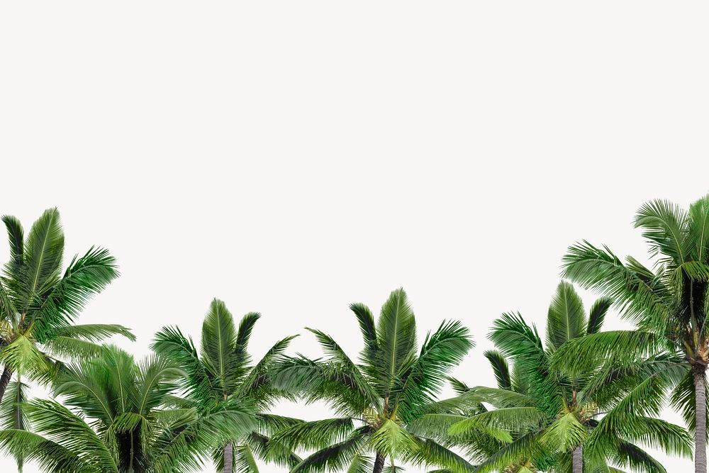 Off-white summer background, tropical leaf border 
