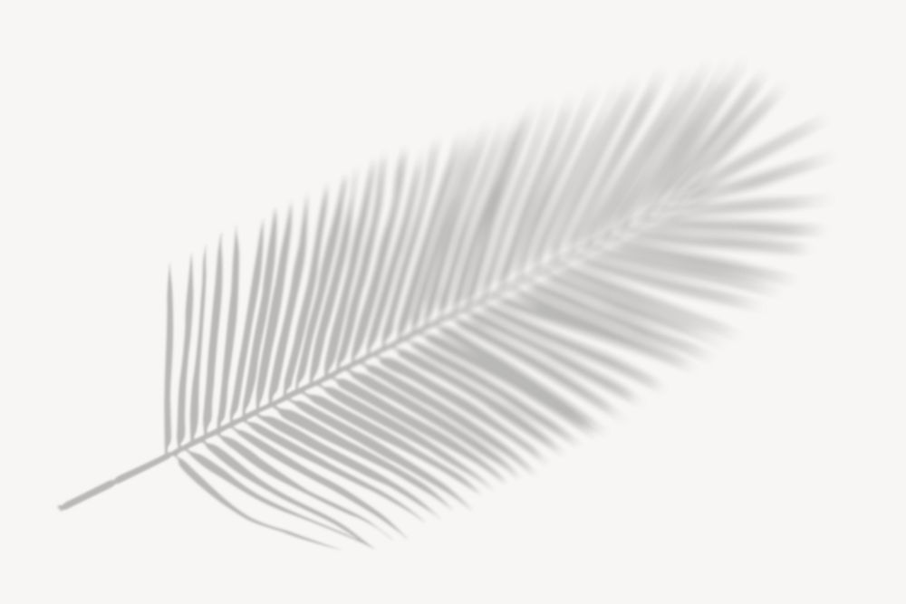 Palm leaf shadow sticker, tropical plant image psd