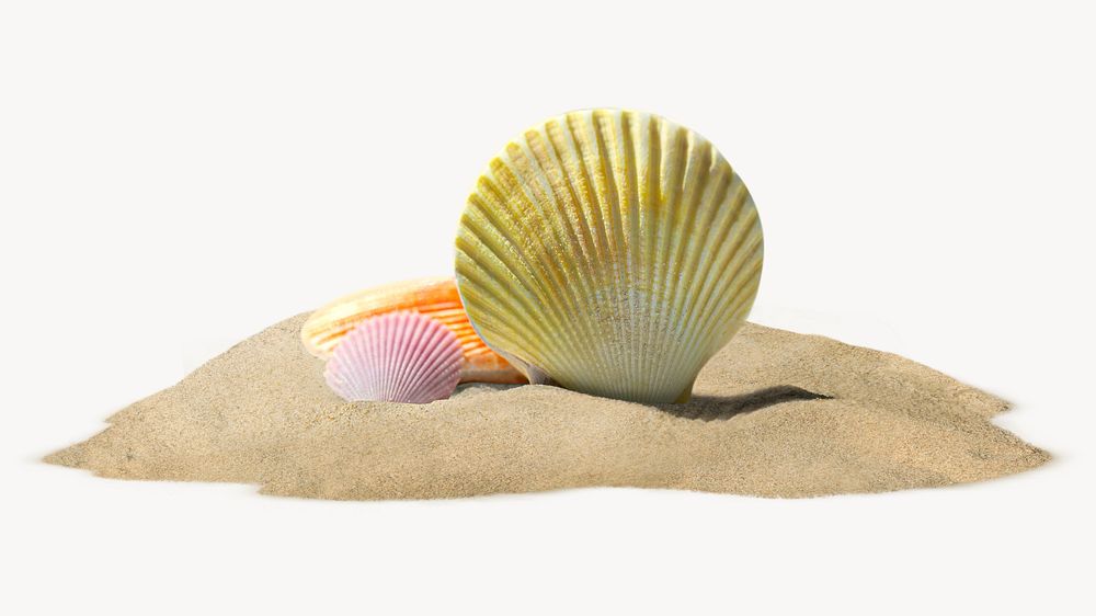 Shell on sand , creative summer travel concept art