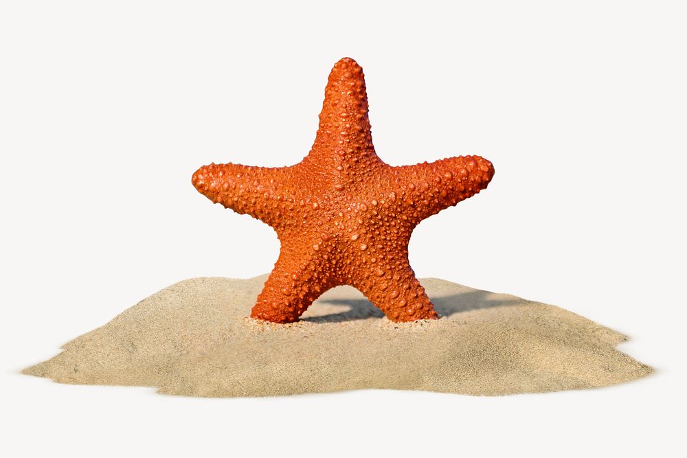 Starfish on sand sticker, creative summer travel concept art psd