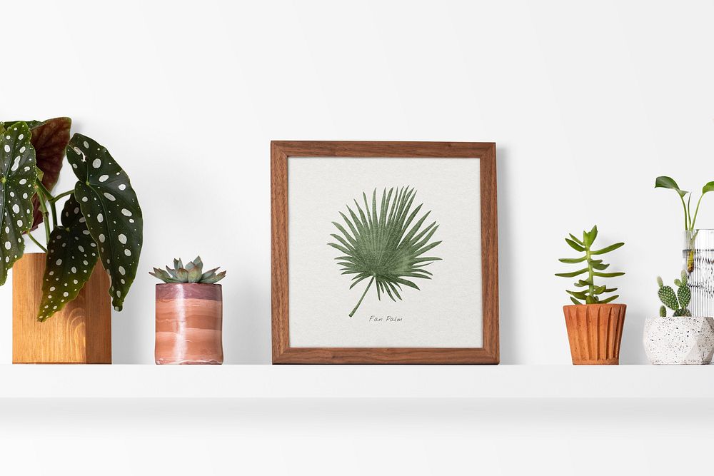 Plant shelf with a frame home decor ideas