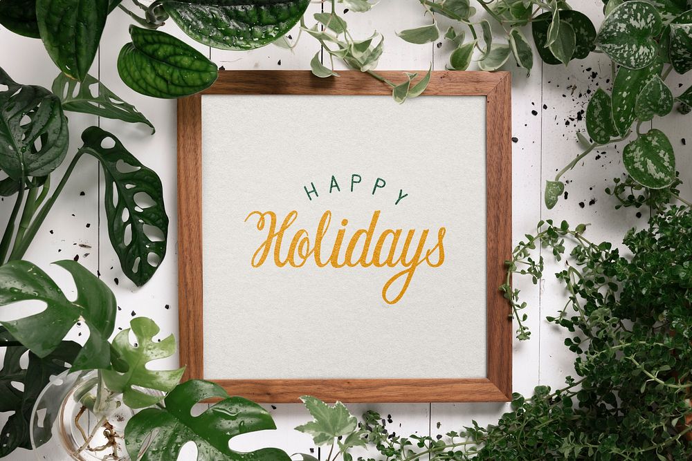 Picture frame with message happy holidays in plant background