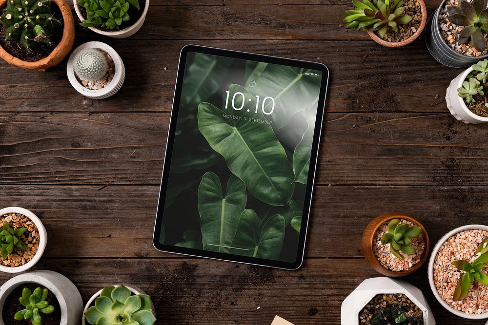 Blank digital tablet screen in houseplants background