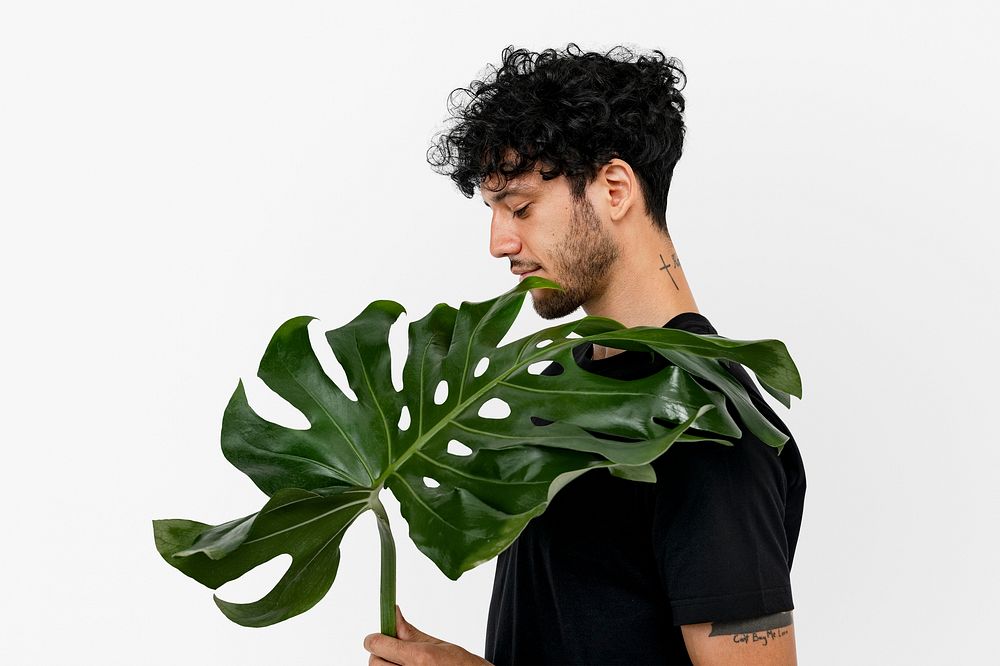 Man holding a huge tropical monstera leaf