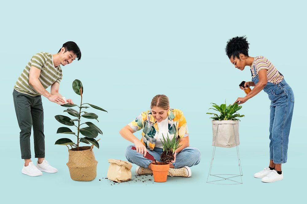 Plant parents taking care of their houseplants