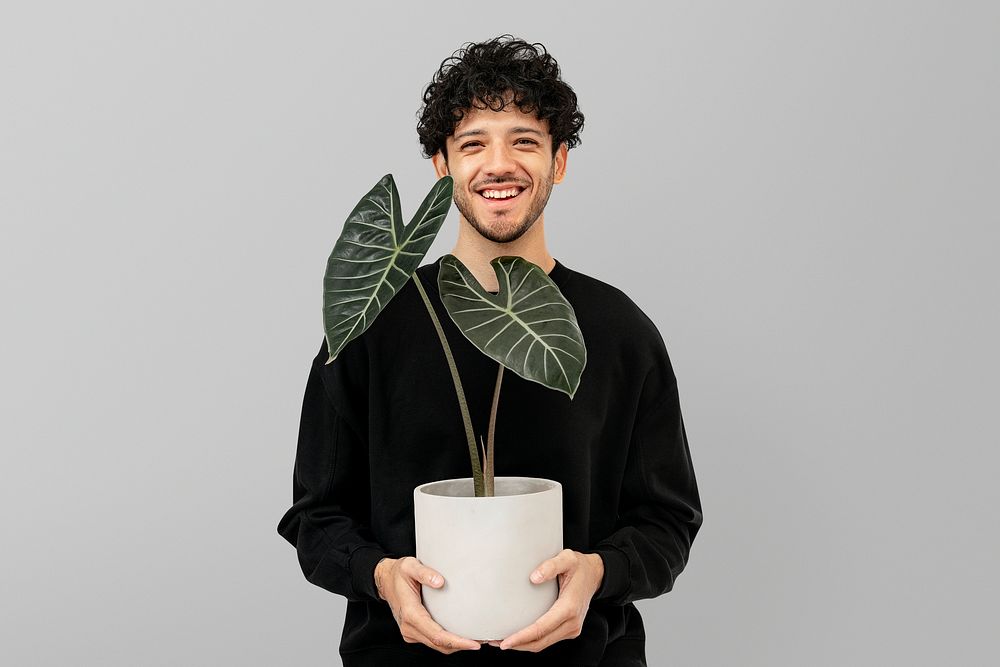 Latino plant parent holding potted alocasia