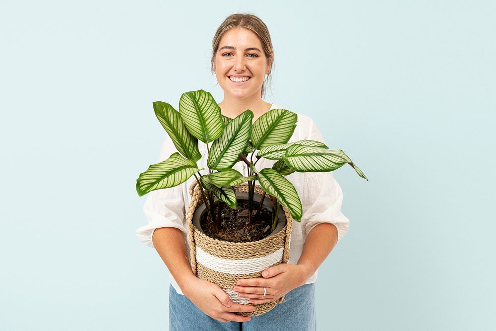 Woman holding potted houseplant in plant basket