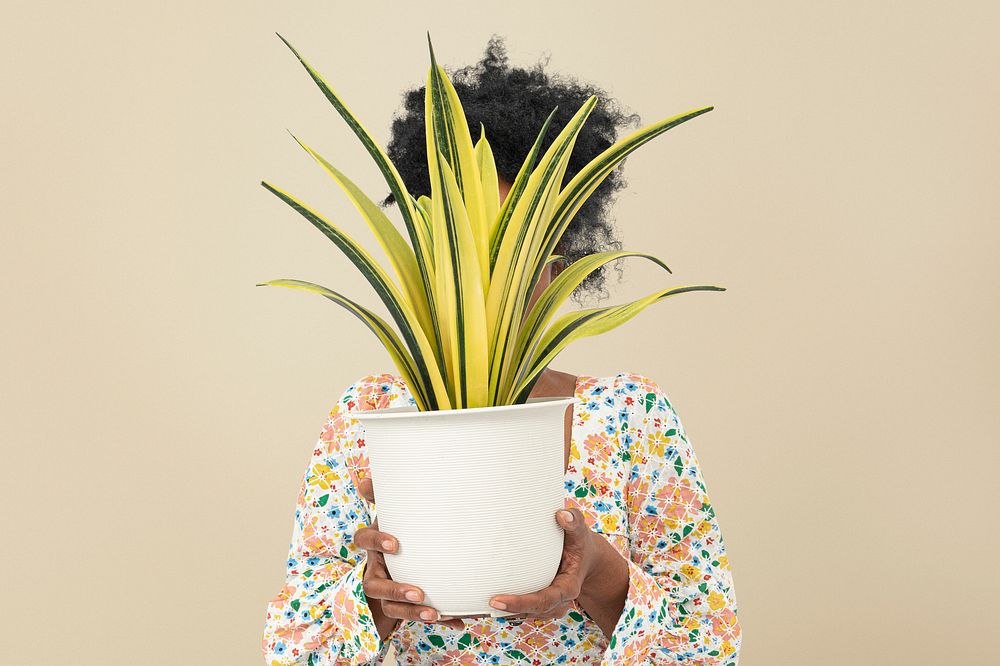 Woman holding a potted spider plant