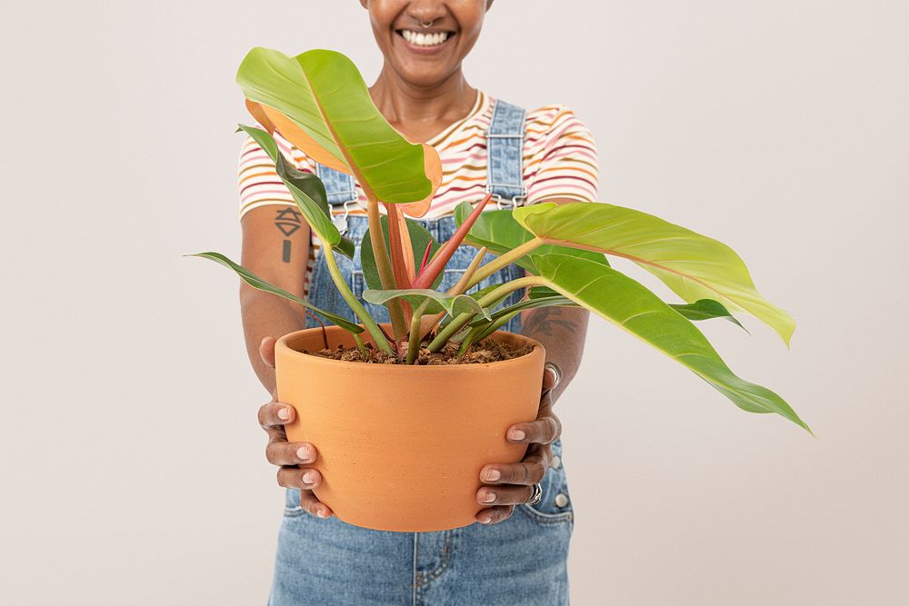 Happy woman holding a potted houseplant