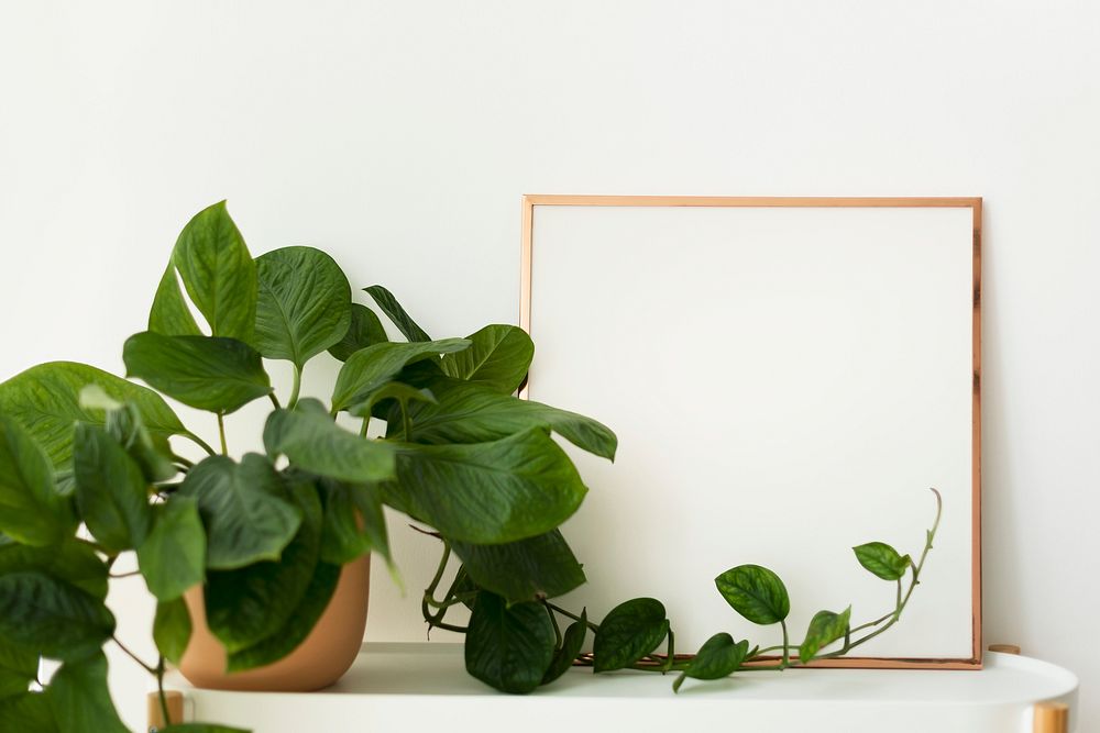 Blank frame next to a potted plant home decor