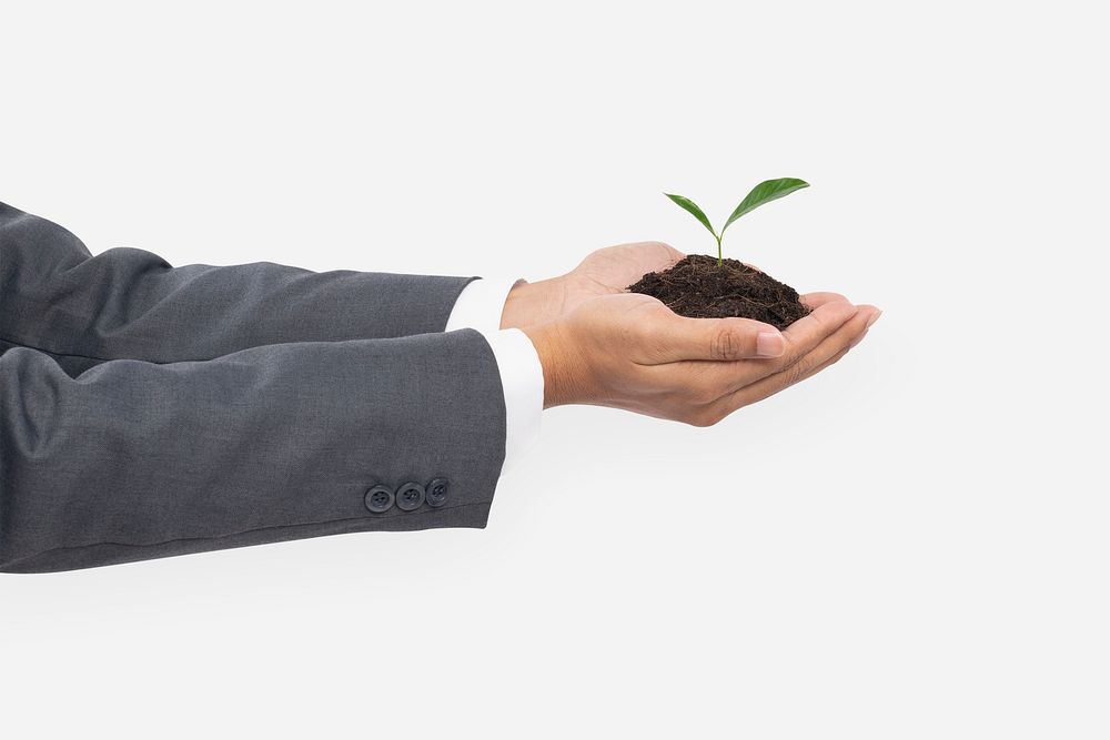 Hand cupping plant mockup psd save the environment campaign