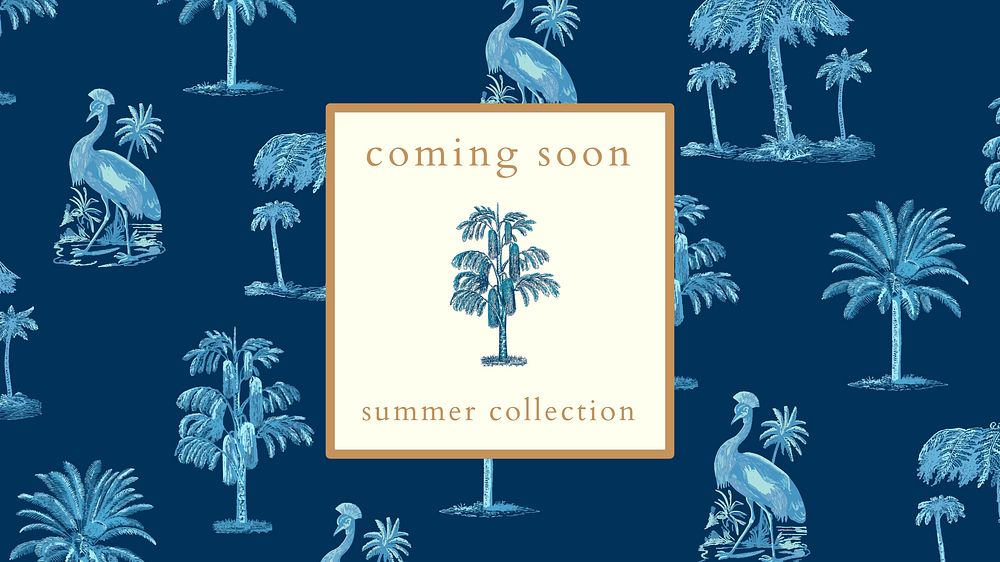 Summer collection banner template vector