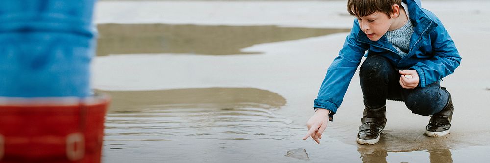 Little boy pointing at jellyfish at the beach