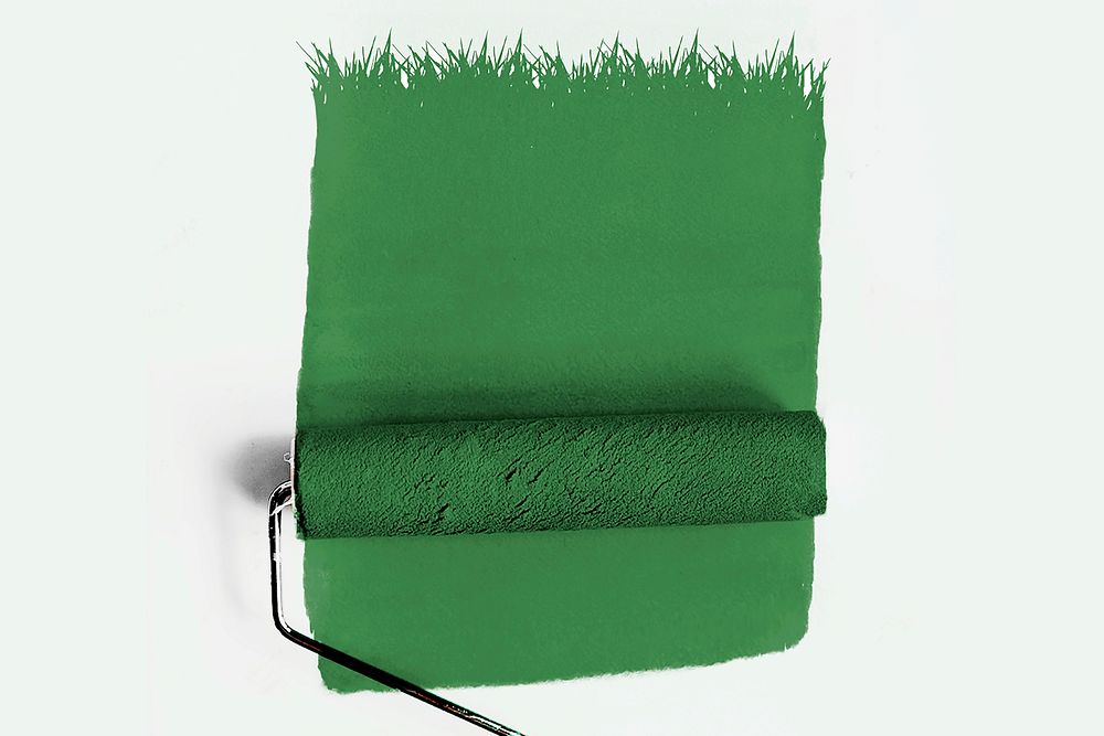 Green paint roller on white background