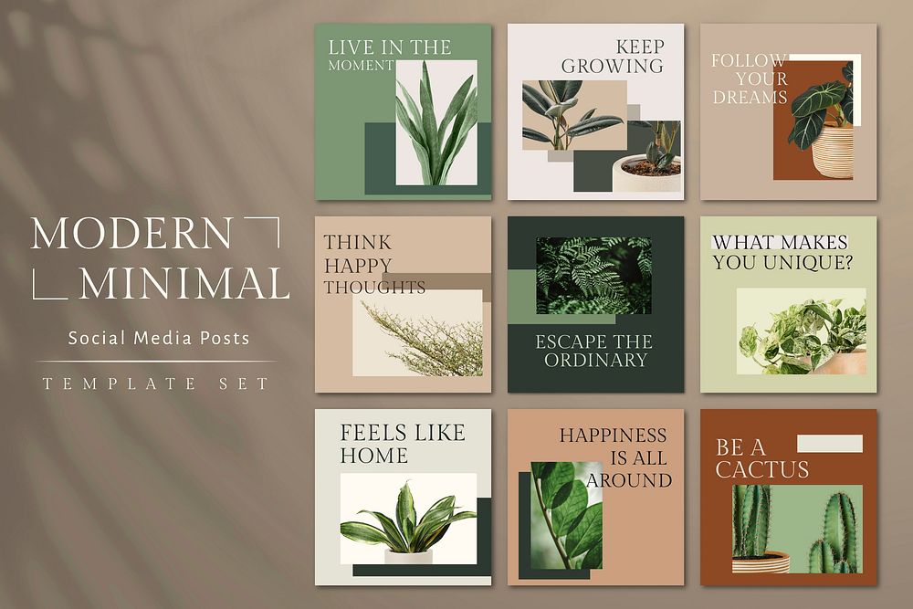 Botanical plant inspirational template vector social media post in minimal style set