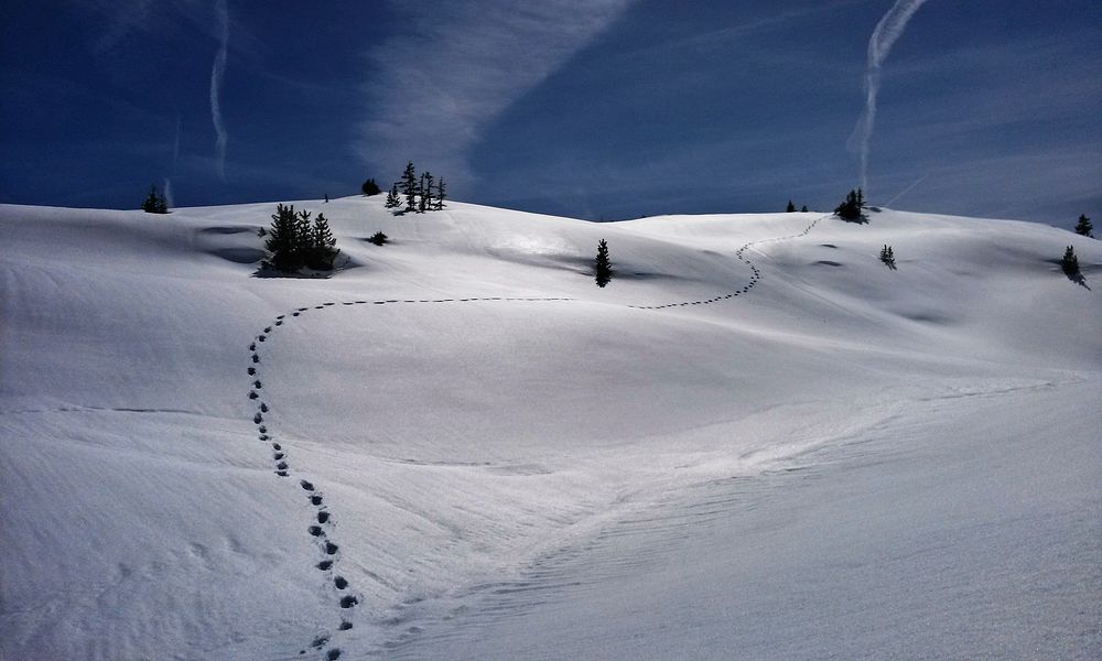 Footprints in the thick layer of snow covering a hill. Original public domain image from Wikimedia Commons