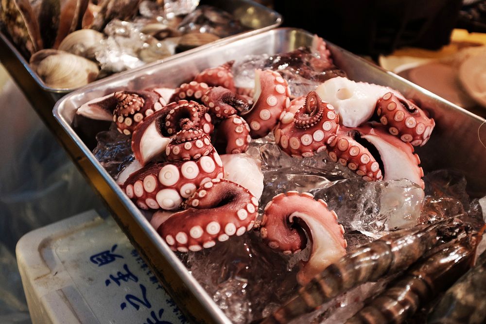 Octopus at Japanese seafood market. Original public domain image from Wikimedia Commons